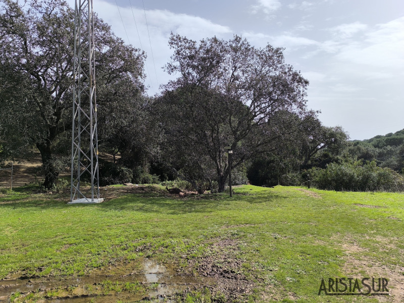 Inicio cuesta de la traición en Assuan