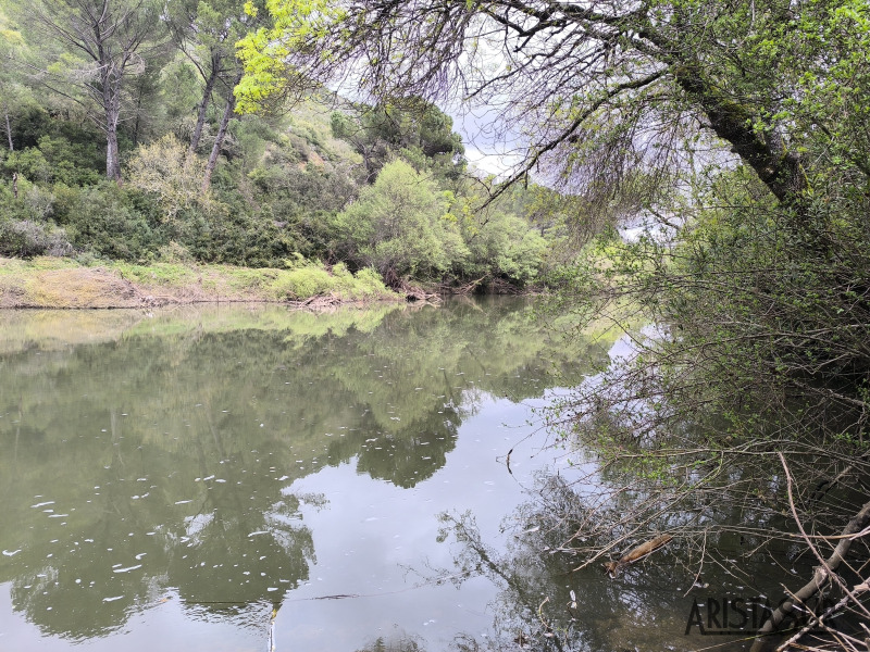 Río Guadiato