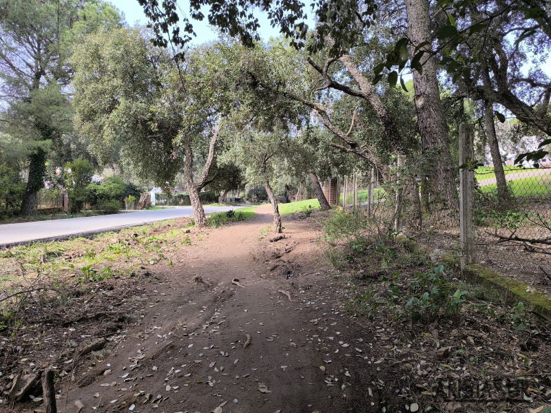 Sendero de los lobos