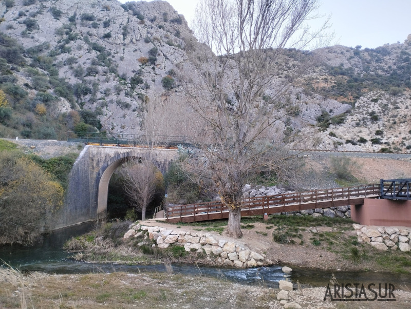 Puente de acceso cueva del gato