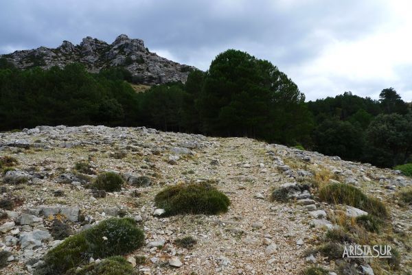 Cerro de la Laguna que rodearemos por la derecha