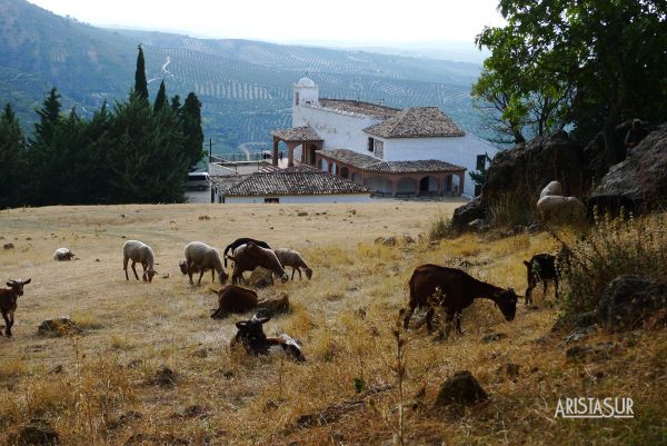 Ermita Virgen de la Cabeza