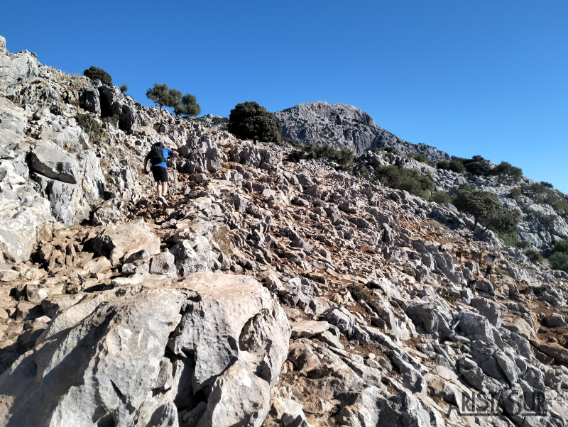 Ascendiendo tras la valla