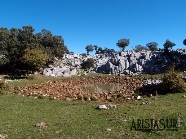 Charca verde en Grazalema