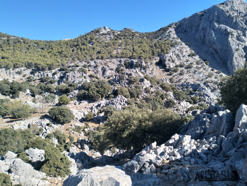 A la izquierda el cortijo Peralta