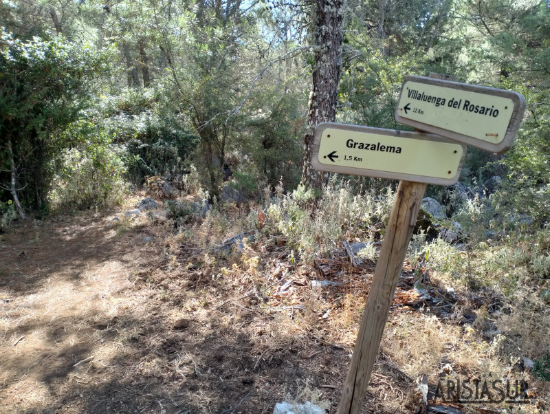 Cruce a Villaluenga del rosario