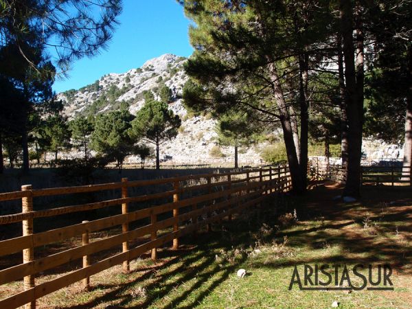 Llanos del Endrinal en Grazalema