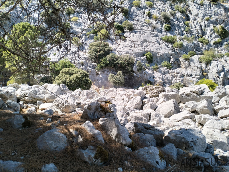 Subida a Llanos Endrinal