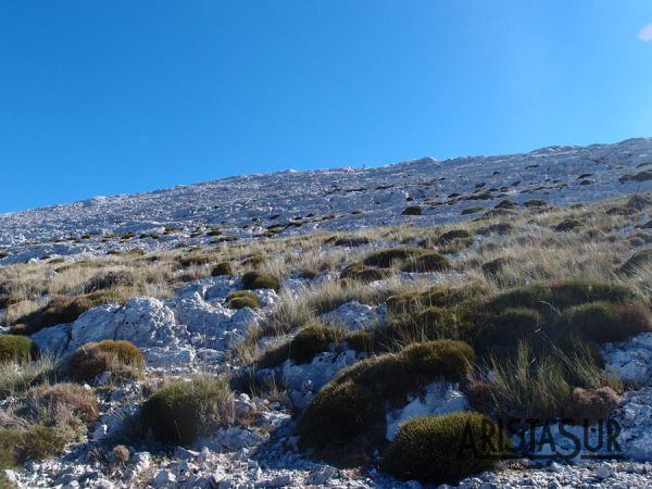 Último tramo de subida al Simancón