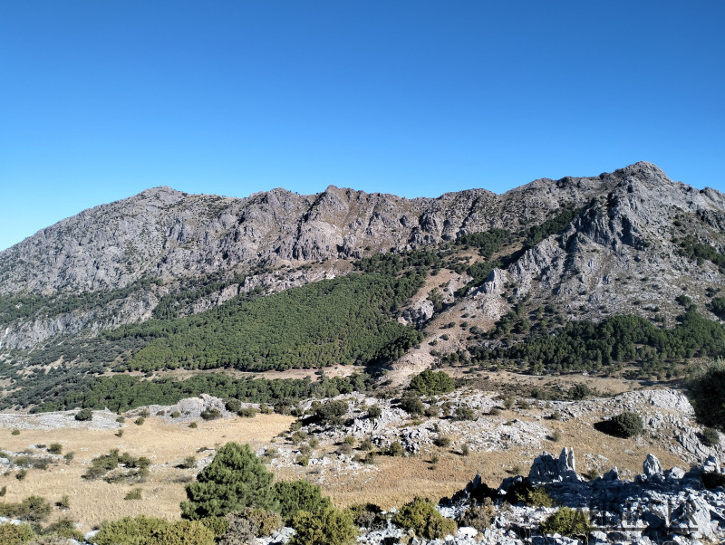 Pico Torreón desde la Sierra del Endrinal