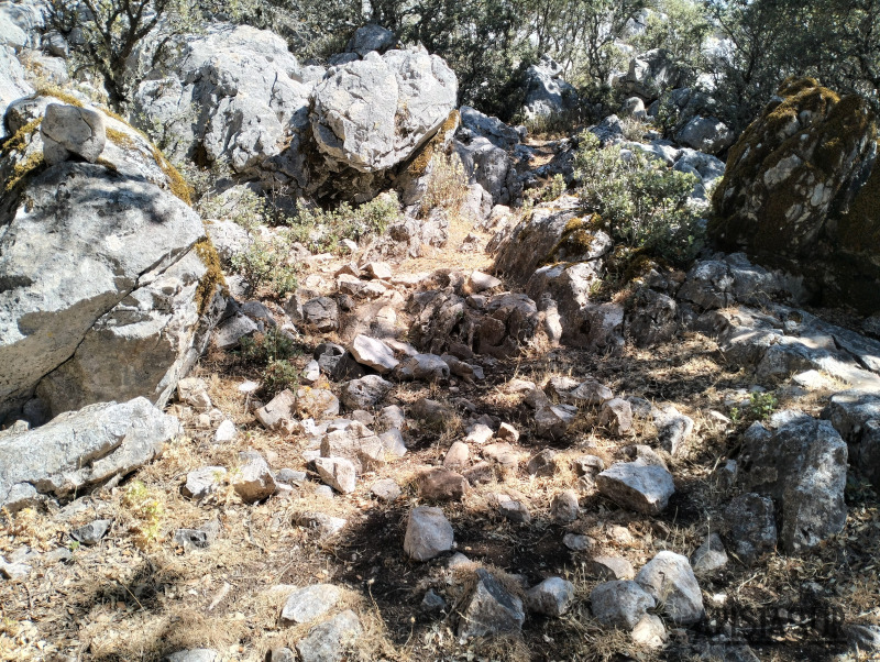 Zona de piedras tras encina caída