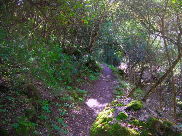 Sendero junto al río