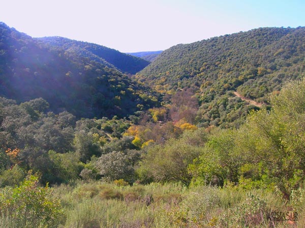 Vistas del valle del río Guadalora