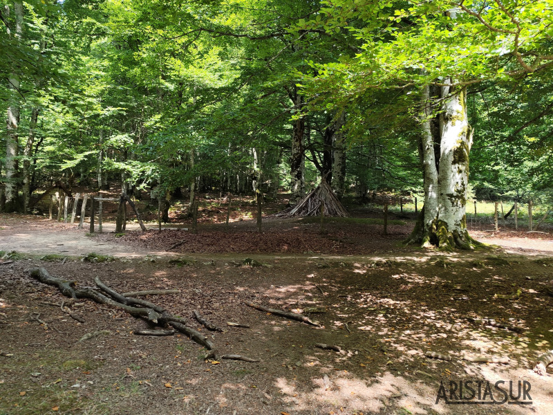 Junto a cabaña carboneros 