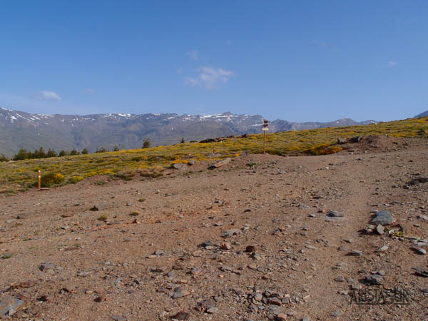 Cortafuegos después de la Hoya del Portillo