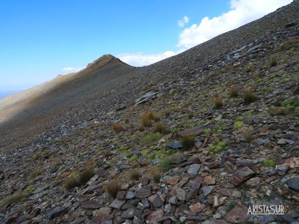 Subida al pico Juego de Bolos