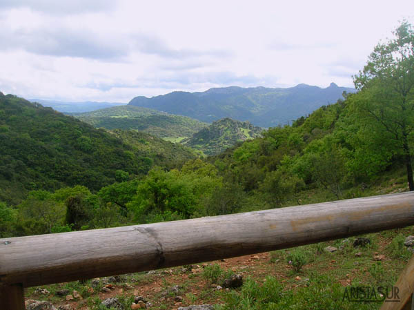 Mirador de los llanos del Berral