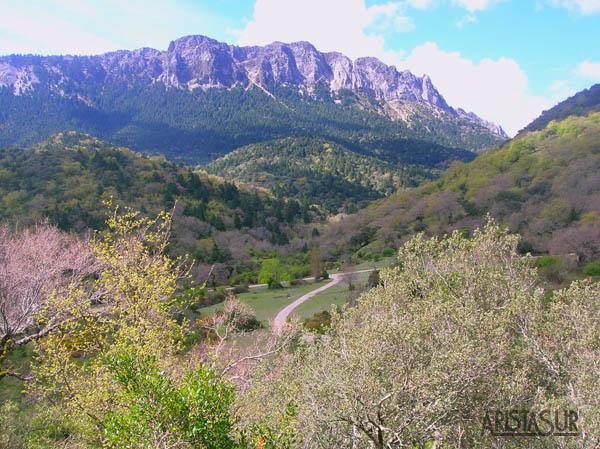 Llanos del Rabel y el Pinsapar