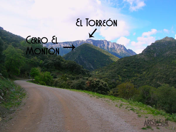 El Torreón y el Montón vistos desde el inicio de los Llanos del Rabel