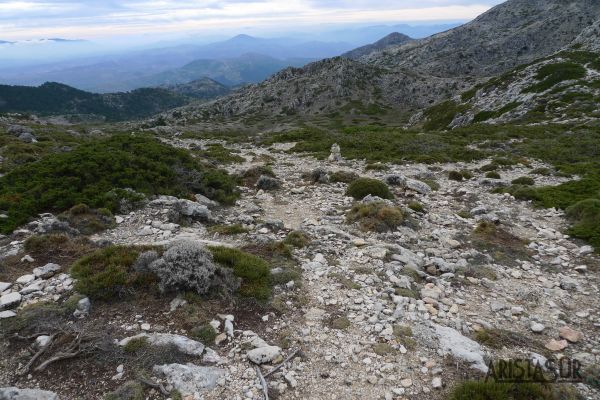 Bajada desde Refugio Miramundos