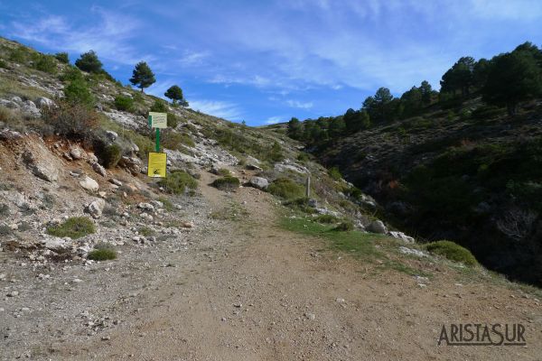 Fin pista del Camino de la Tosquilla