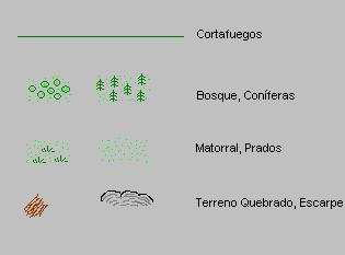 Vegetación