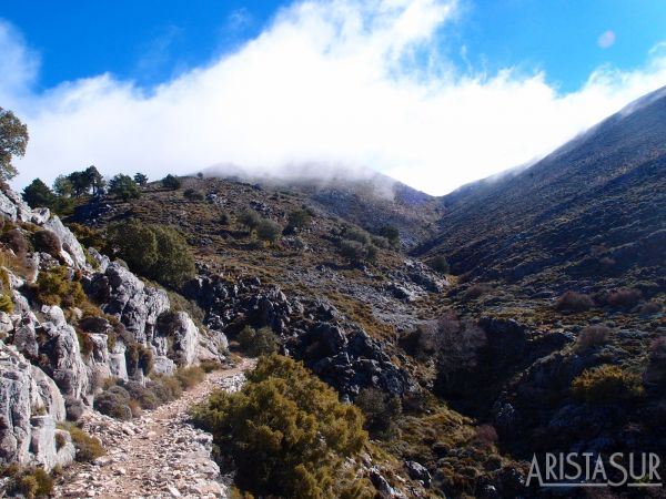 Al fondo la confluencia de arroyos. Tapada por la nube el cerro que bordearemos por su izquierda