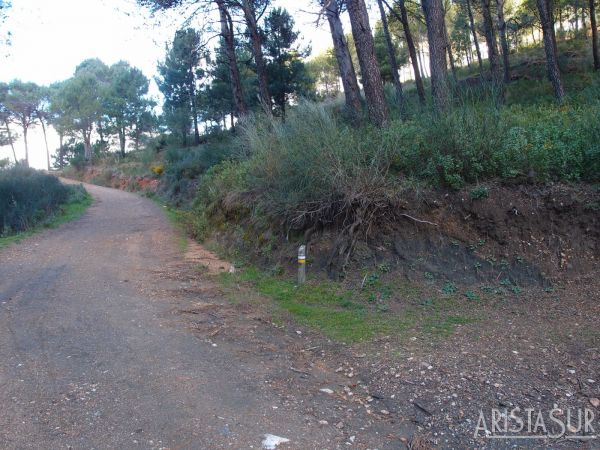 Hacia la derecha senda que lleva a Los Escansaderos