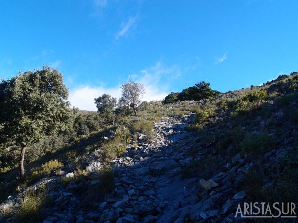 Loma final de subida por Los Escansaderos