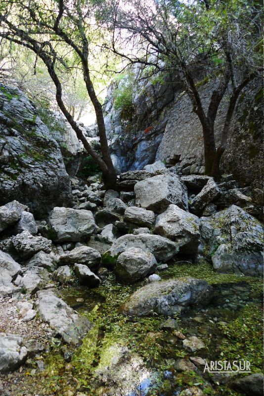 Nacimiento del Río Guadalquivir