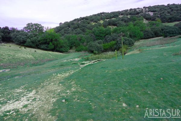 Fuenfría, bajamos hacia la izquierda y cruzamos el arroyo