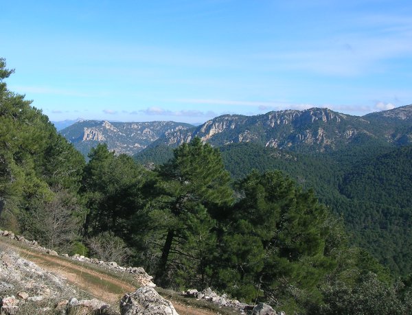 Vista de la Sierra del Agua desde la subida al pico Navalperal