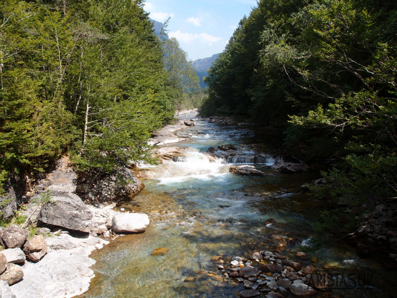 Río Arazas desde el puente de Cotatuero