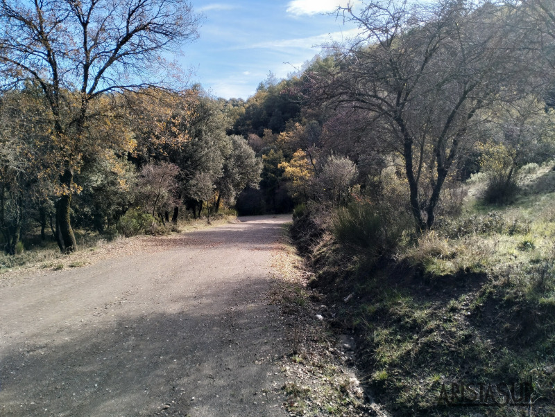 Pista después de la carretera desde Fuente de los Potros