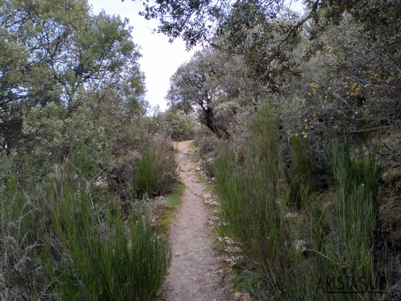 Sendero bordeando el cerro