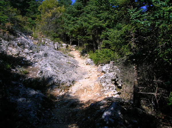 Inicio del sendero de Puerto Saucillo