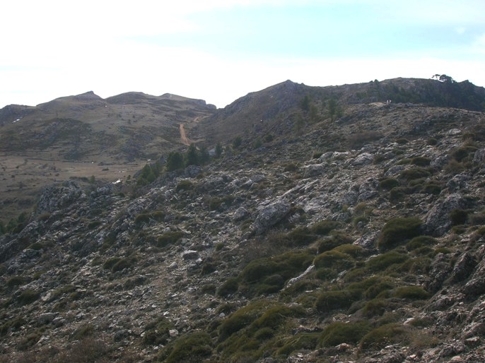 Calar del Cobo antes de la cumbre