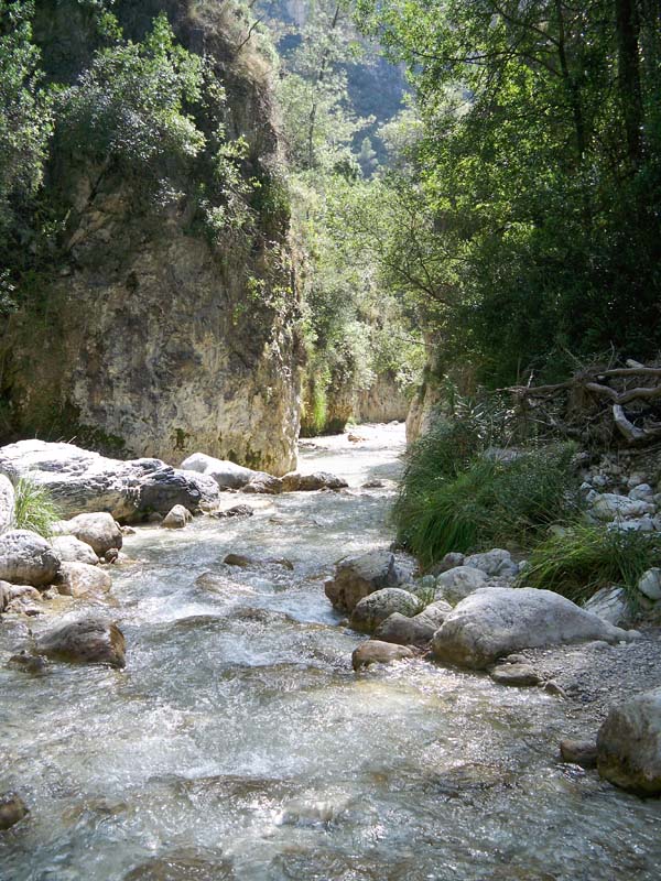 Cauce del río Chillar
