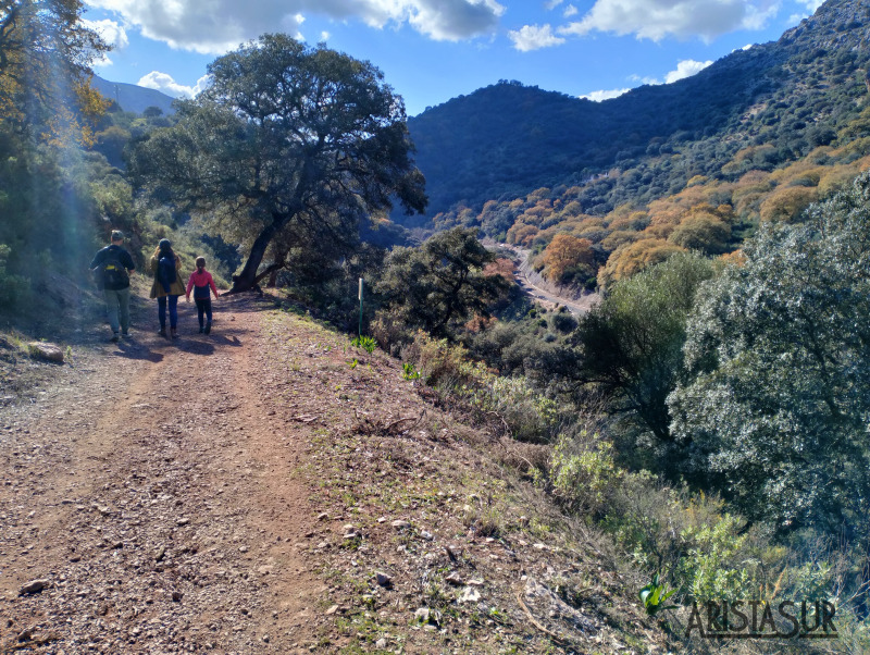 Inicio desde Benaoján