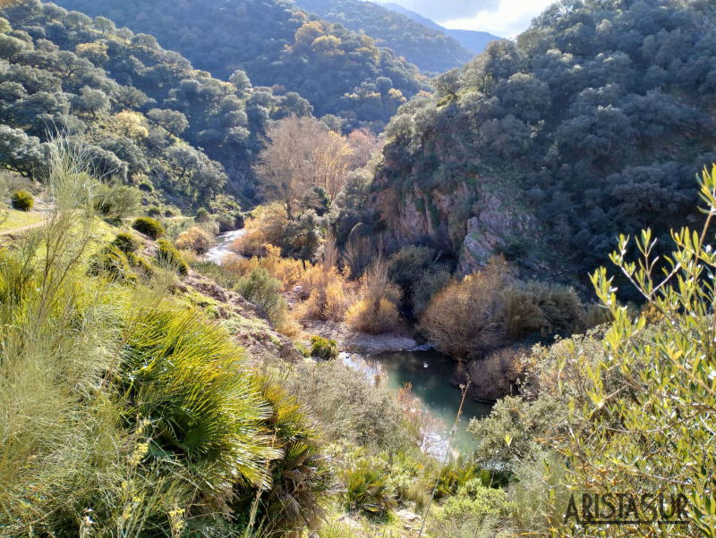 Panorámica las Angosturas