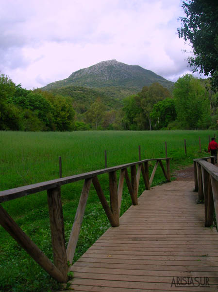 Vega del Río Majaceite