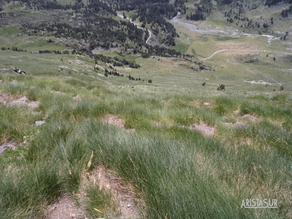 Bajada hacia la Besurta