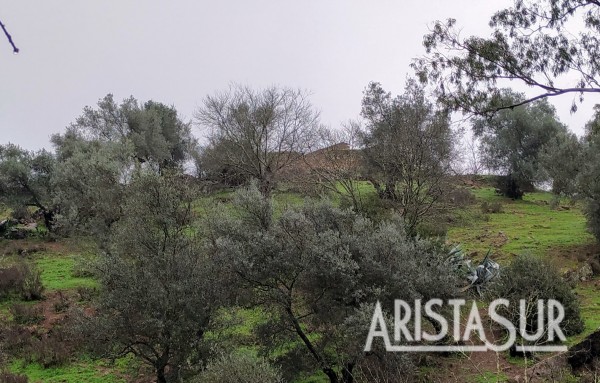 Cortijo Valero
