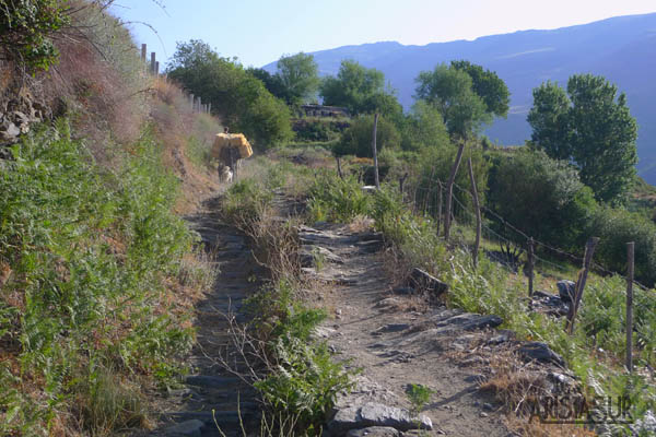 Inicio del sendero a Siete Lagunas desde Trevélez