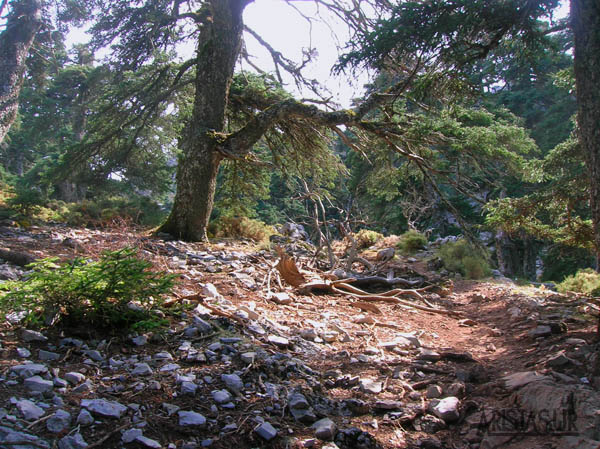 Cañada del Cuerno