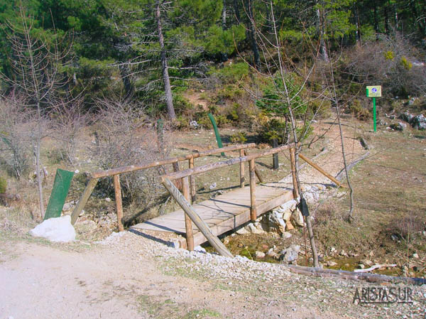 Puente de madera en Área Recreativa de los Quejigales