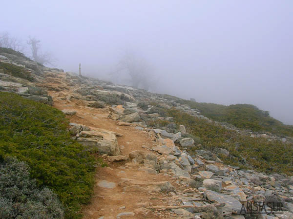 Última subida al pico Torrecilla