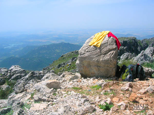 El Torreon - Cumbre