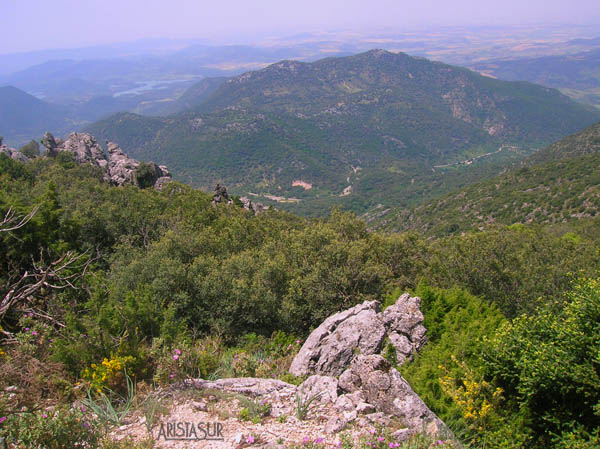 Vistas de la Sierra de Aljibe, Bornos y el embalse