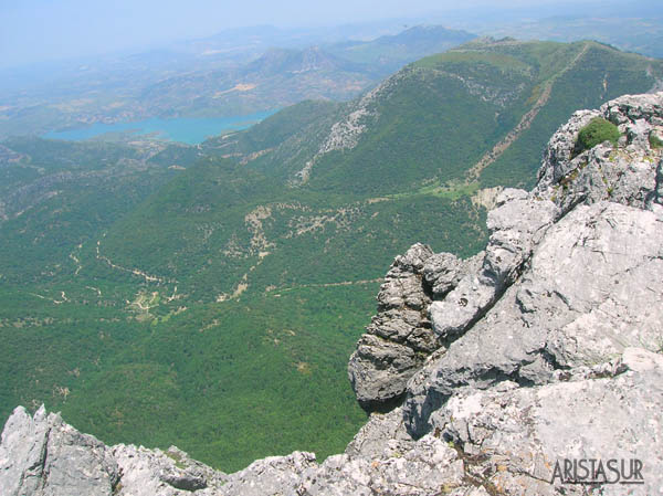 Vistas del Pinsapar de la Sierra de Grazalema desde El Torreón